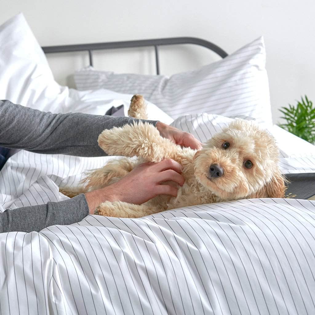Essential Organic Percale Collection Duvet Cover